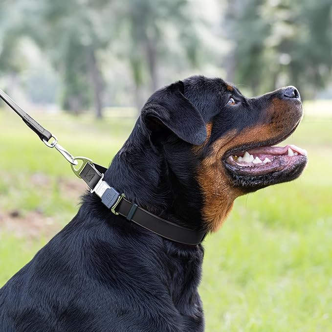 Dogline Biothane Waterproof Dog Collar with Herm Sprenger Black Stainless Steel Quick Release Buckle – Heavy Duty Tactical Durable Collar for Dogs – Comfortable and Safe Pet Collar W 1" L 15-25" Black-PurrikoPets