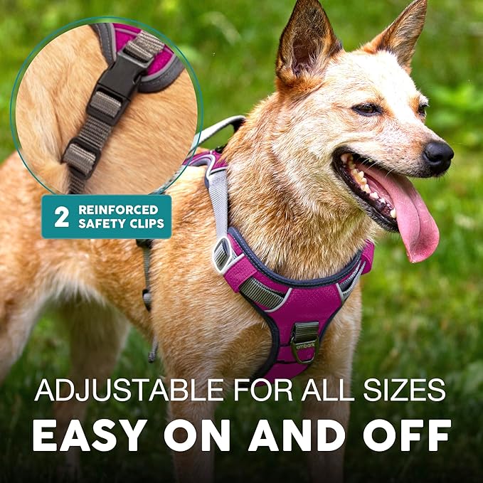 Embark Adventure Dog Harness, Reflective Trim No Pull Dog Harness for Large Dogs - Military Grade Nylon, Front Clip with Gel Lined Handle.-PurrikoPets