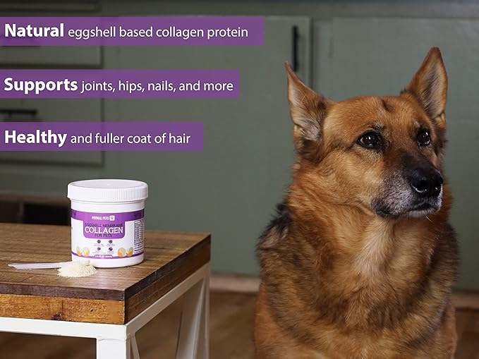 Eggshell Membrane Collagen for Dogs - Non-Gelatin and Non-Bone Marrow Based, All Natural Premium Dog Collagen Powder from Eggshell Membranes: Supports Pet HIPS, Joints, Nails, Fur and Digestion.-PurrikoPets