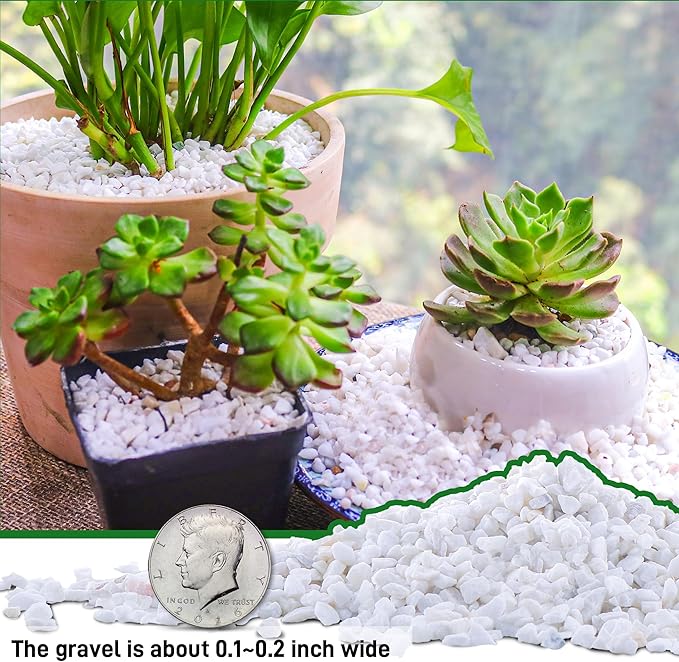 45lb White Cactus Pea Gravel Rocks,1/4 Inch Pebbles for Indoor Plants, Natural Succulent Rock and River Rocks Decorative for Aquariums, Vases, Outdoor Gardening, Top Dressing for Potted Plants-PurrikoPets