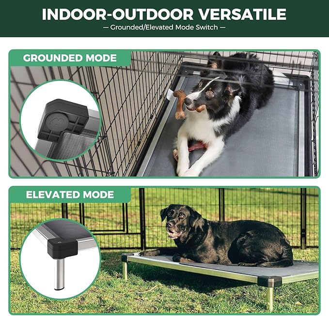 FXW TitanNest Chew-Proof Elevated Dog Bed, Raised Cot for Indoor/Outdoor/Camping Use, Durable & Washable Padded Pet Bed for Toy Dogs, 23.0" L x 17.0" W x 4.5" H, Black-PurrikoPets