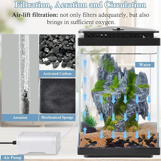 FEDOUR Small Glass Aquarium, 1 Gallon Desktop Fish Tank, Betta Fish Tank, Mini Aquarium Starter Kit with Air Pump LED Light Decoration Water Changer Fish Net (Black)-PurrikoPets