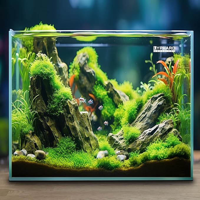 33 Gallon Cube Rimless Aquarium, Ultra Clear Low Iron Large Fish Tank, L19.7×W19.7×H19.7 Glass Thickness 8mm with EVA Foam Leveling Mat-PurrikoPets
