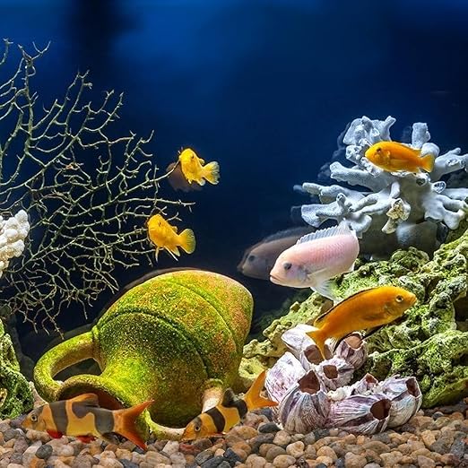 2.5 lbs Drainage Rocks for Potted Plants, 1/5 Inch Small Pebbles for Indoor Plants, Decorative Gravel for Vases, Bamboo, Succulent, Terrarium, Crafts, Cactus-PurrikoPets