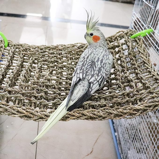 16 x 12 Inches Bird Seagrass Mat, Natural Seagrass Woven Net, Bird Hammock Mat with Hooks, Bird Cage Accessories, Climbing Rope Ladder Chew Toys for Cockatiel Hamster Guinea Pig Rats Hamster Parakeet-PurrikoPets