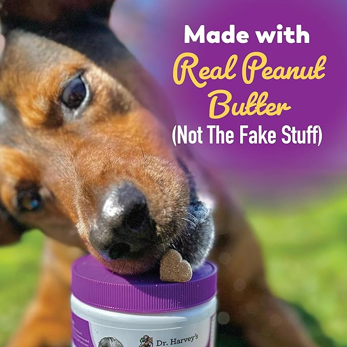 Dr. Harvey's Digestive Probiotic Soft Chews for Dogs, 7 Probiotics for Gut Health, Diarrhea and Bowel Support, Peanut Butter Flavor (90 Chews)-PurrikoPets
