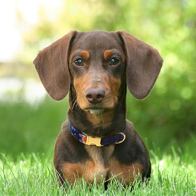 AirTag Dog Collar for Small Medium Large Breed - Adjustable Cute Pattern Dog Collar with Airtag Holder - Soft Leather Tracker GPS Apple Air Tag Pet Collars (Small, 12"-15" Neck Fit, Navajo)-PurrikoPets