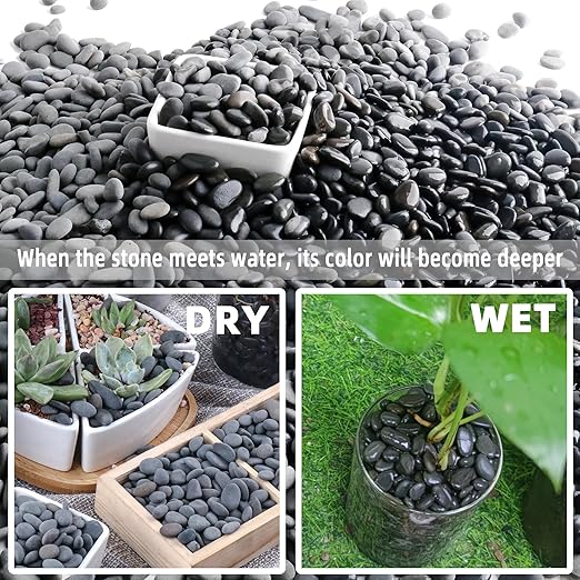 7lb Natural River Rocks Pebbles for Plants & Succulents, Decorative Outdoor Landscaping Garden Rocks, Mexican Beach Pebbles for Aquarium & Vase Decor-PurrikoPets