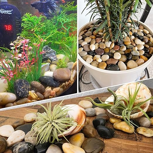 18LB 1"-2" Decorative River Rocks for Plants, Polished Pebbles for Garden Landscaping, Planters, Aquariums, Vase Fillers – Indoor & Outdoor Decor-PurrikoPets