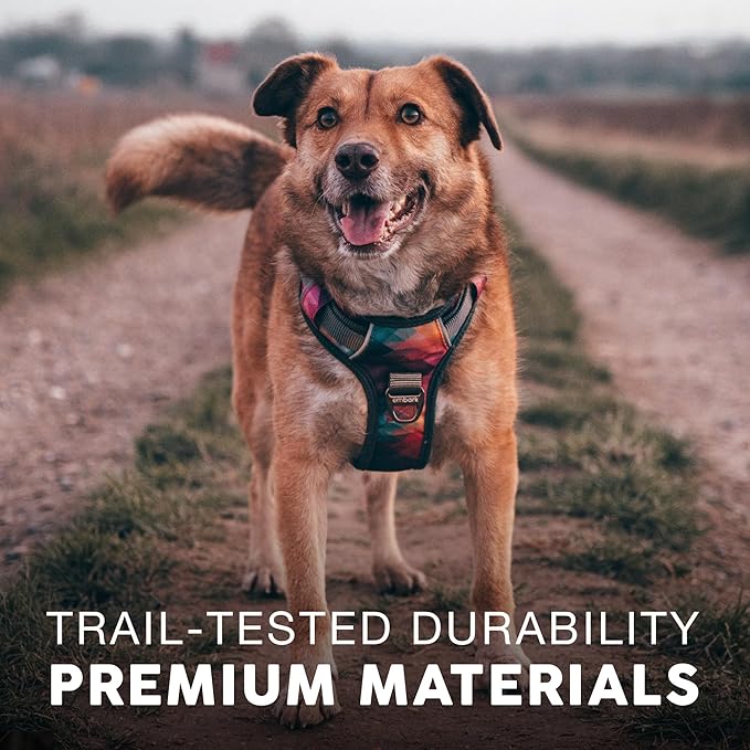 Embark Adventure Dog Harness, Reflective Trim No Pull Dog Harness for Large Dogs - Military Grade Nylon, Front Clip with Gel Lined Handle. Soft & Padded Puppy-PurrikoPets