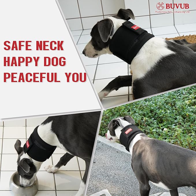 Adjustable Dog Neck Brace for Neck Pain & Injury Relief - Soft & Comfortable Support Collar for Dogs for Recovery After Surgery or Injury(Small)-PurrikoPets