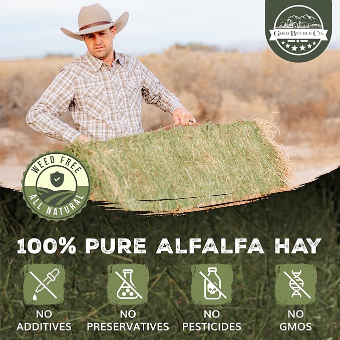 10lb Freshly Dried Organic Alfalfa Hay for Guinea Pigs, Rabbits, Chinchillas, Goats, Hamsters & Ferrets, Small Animal Food Rich in Protein & Fiber, Hand-Selected, Hand sorted, USA Grown-PurrikoPets