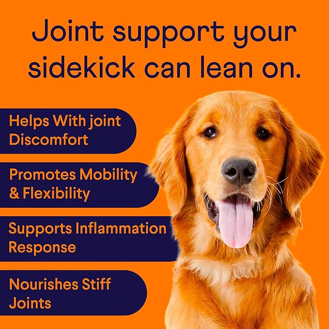 Finn Hip and Joint Supplement for Dogs | Glucosamine, Chondroitin & MSM for Joint and Mobility Support | with Turmeric, BioPerine and B-Vitamins | 90 Soft Chews-PurrikoPets
