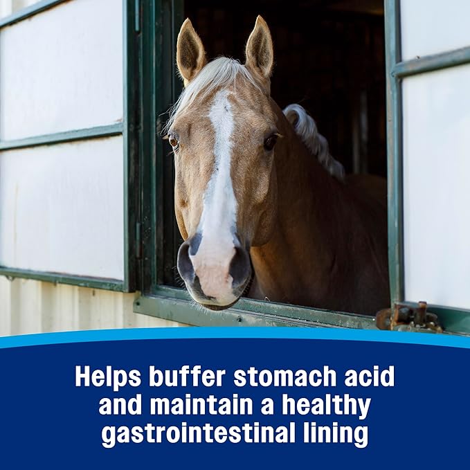 Farnam Gastric Health Pellets, Daily Gut and Digestive Health Supplement for Horses Helps Maintain a Healthy Gastrointestinal Tract and Gut Function-PurrikoPets
