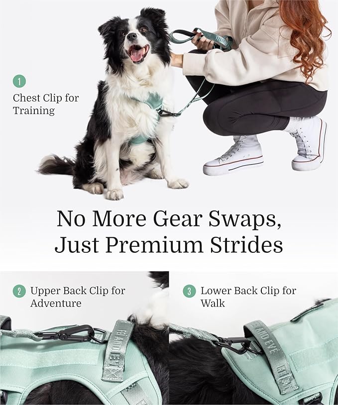 2025 New Edition, Fei & Eve MagEase Dog Harness - 3-Second Magnetic Buckles | 3-Point No-Pull Control | Heavy-Duty 900D Nylon | Dual Safety Handles | Breathable Mesh | Adjustable Fit | Medium, Green-PurrikoPets