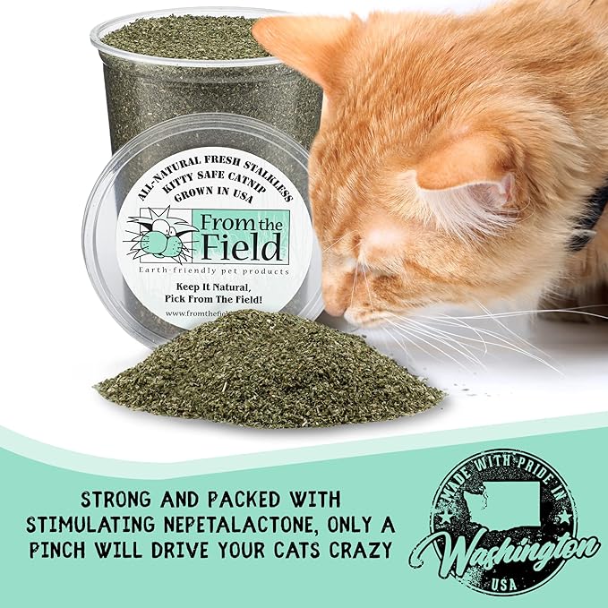 from The Field | Fine Ground Stalkless Catnip | Premium USA-Grown Catnip for Toys & Playtime | Fresh, Potent, Non-Toxic, Eco-Friendly | Safe for Kittens & Cats | Resealable 2 Oz Tub-PurrikoPets