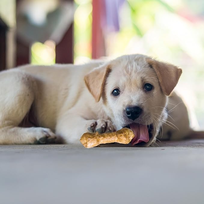 Fieldcrest Farms Nothin' to Hide 3 inch Ultra Knotted Bone Treats - Natural Rawhide Alternative Treats for Dogs, Collagen Based Snack for Heavy Chewers up to 15lbs - Chicken Flavor, 12 Pack-PurrikoPets