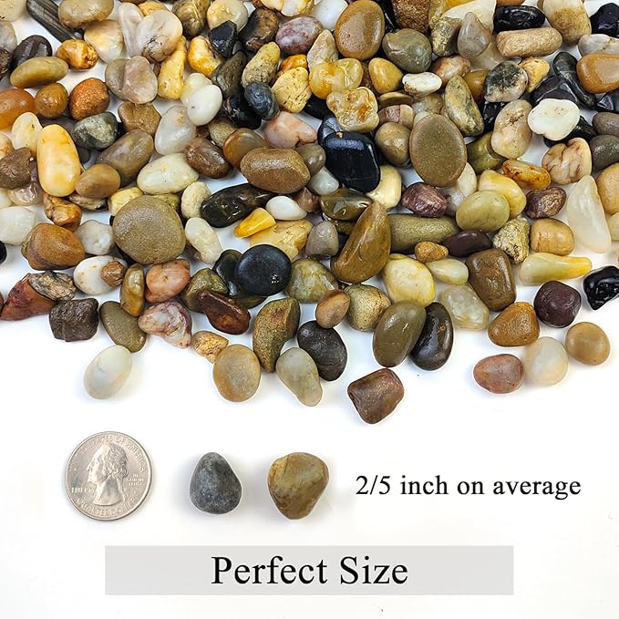 2lbs Aquarium Rocks, 2/5 Inch Pea Gravel for Indoor Plants, Decorative River Rocks for Fish Tank Succulent Vase Plant Soil Cover and Outdoor Landscaping-PurrikoPets