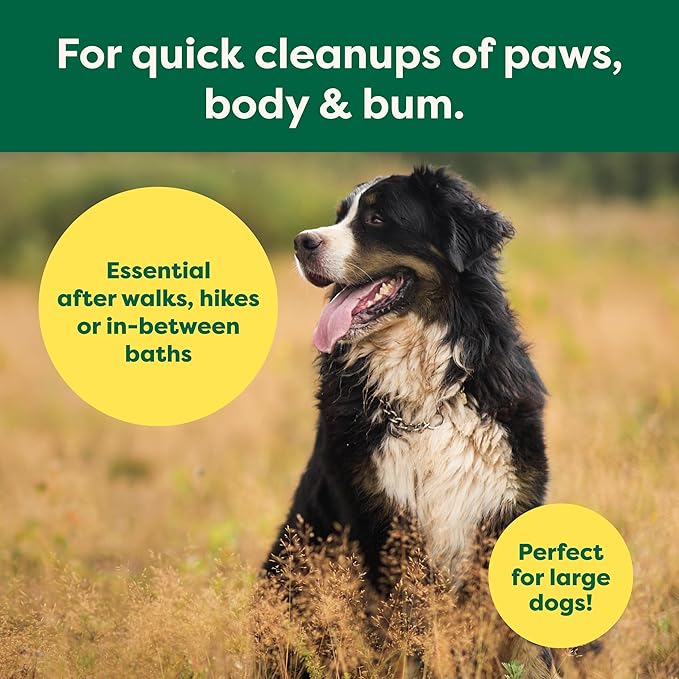 Earth Rated XL Pet Wipes for Dogs & Cats, 3-in-1 Hypoallergenic Cleaning, Deodorizing and Hydrating Extra Large Grooming for Body, Paws and Butt, Unscented, 60 Count-PurrikoPets