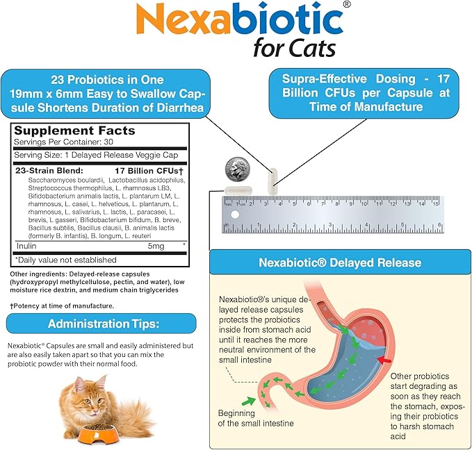 DrFormulas Nexabiotic Probiotics for Cats Powder | Treats Diarrhea for Pets with Saccharomyces Boulardii Lactobacillus Acidophilus, Best Probiotics Supplement for Digestive Health 30 Capsule-PurrikoPets
