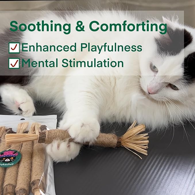 8.66 inches Silvervine Sticks Cat Toys, Natural Catnip Kittens Chew Toy for Teeth Cleaning,Big Catmint Blend Stick, Dental Kitty Chews for Indoor(5 Pack)-PurrikoPets