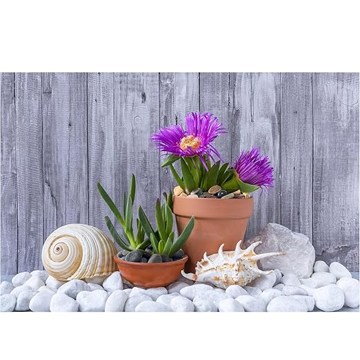 40lbs White River Rocks for Landscaping, 3-4 Inch Large Natural Unpolished Bulk Pebbles, Hand-Picked Premium Stones for Garden Design Fish Tank, Pathways and Backyard-PurrikoPets