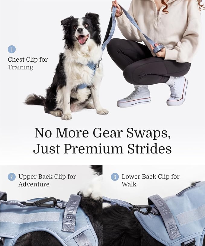2025 New Edition, Fei & Eve MagEase Dog Harness - 3-Second Magnetic Buckles | 3-Point No-Pull Control | Heavy-Duty 900D Nylon | Dual Safety Handles | Breathable Mesh | Adjustable Fit | Medium, Blue-PurrikoPets