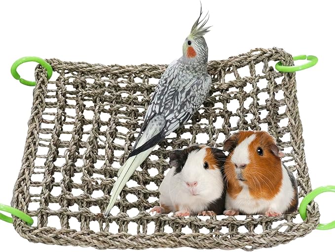 16 x 12 Inches Bird Seagrass Mat, Natural Seagrass Woven Net, Bird Hammock Mat with Hooks, Bird Cage Accessories, Climbing Rope Ladder Chew Toys for Cockatiel Hamster Guinea Pig Rats Hamster Parakeet-PurrikoPets