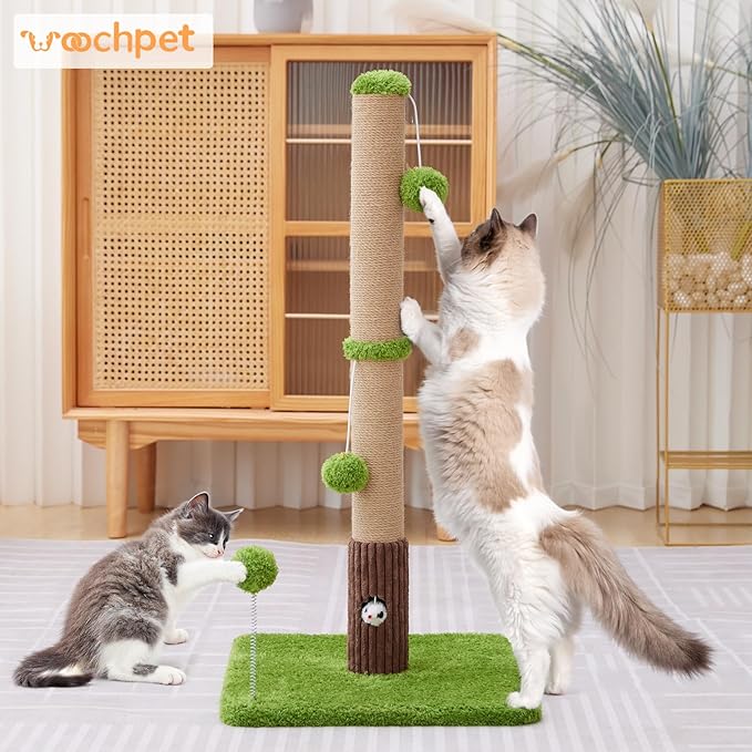 33" Tall Cat Scratching Post for Indoor Cats, Premium Sisal Scratch Posts with Cat Toys and Fun Mouse Holer for Cats at All Ages, Scratcher Tree with Reinforced Stable Base (Green)-PurrikoPets