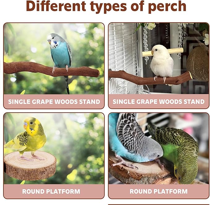 5PCS Bird Perch Stand Natural Wooden Parrot Stand Branch,3 Grape Wood Perch,2 Platform,Paw Grinding Fork Parakeet Chewing Stick Exercise Training Branches for Cockatiels,Small Birds-PurrikoPets