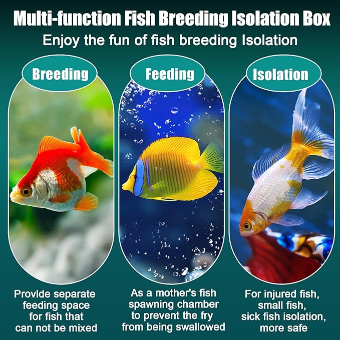 2 Pcs Breeder Box for Fish Tank Aquarium Breeder Separation Net Breeding Box with Suction Cup for Small Fish Shrimp Clownfish Guppy (White,L)-PurrikoPets