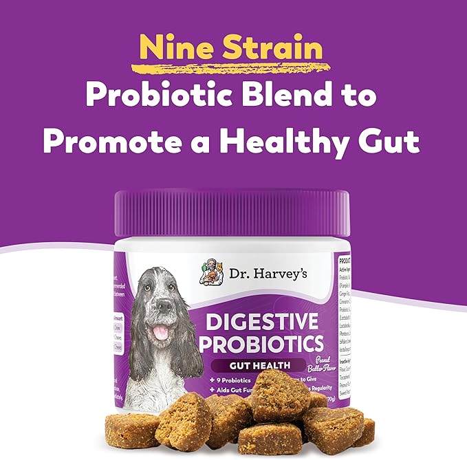 Dr. Harvey's Digestive Probiotic Soft Chews for Dogs, 7 Probiotics for Gut Health, Diarrhea and Bowel Support, Peanut Butter Flavor (90 Chews)-PurrikoPets