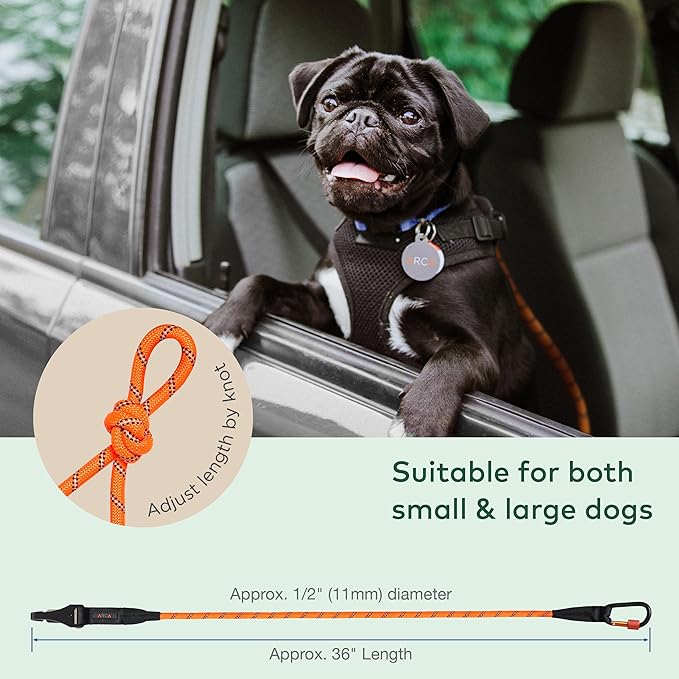 Dog Seat Belt for Car | Universal Dog Car Seatbelt | Durable Reflective Rope with Clip Hook Latch, Buckle and Carabiner- Safe and Secure Pet Safety Restraint (Orange)-PurrikoPets