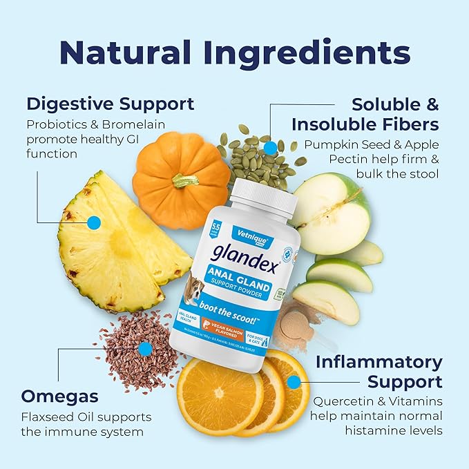 Glandex Dog Fiber Supplement Powder for Anal Glands with Pumpkin, Digestive Enzymes & Probiotics - Vet Recommended (Regular or Advanced Strength) - Boot The Scoot (5.5 oz, Vegan Salmon)-PurrikoPets