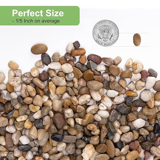 5 lbs Drainage Rocks for Potted Plants, 1/5 Inch Small Pebbles for Indoor Plants, Decorative Gravel for Vases, Bamboo, Succulent, Terrarium, Crafts, Cactus-PurrikoPets