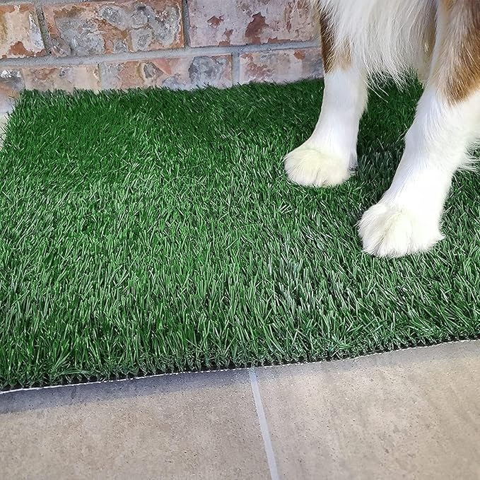 Dog Grass Pet Loo Indoor/Outdoor Portable Potty, Dog Litter Box, Artificial Grass Patch Bathroom Mat and Washable Pee Pad for Puppy Training, Full System with Trays (Pet Training Tray, 20"x16")-PurrikoPets