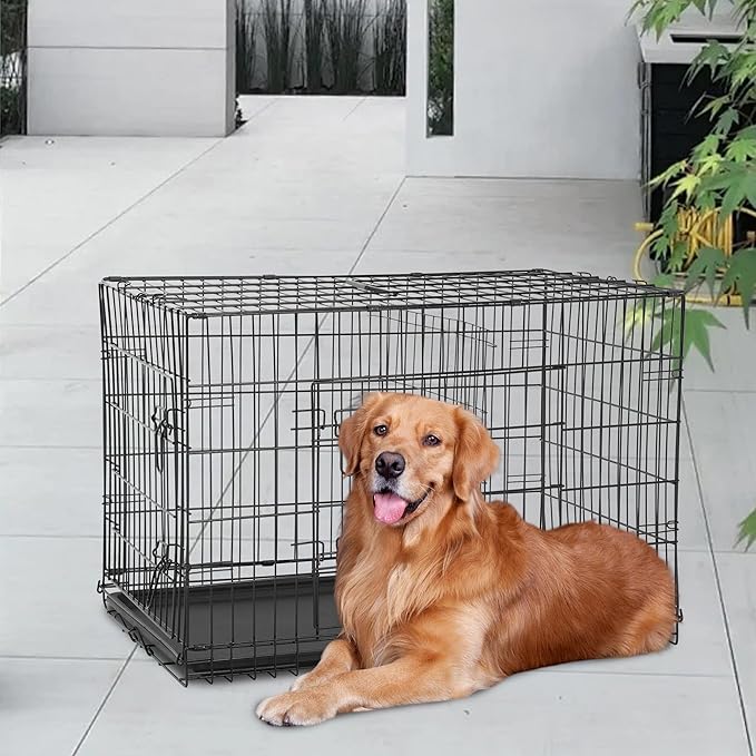FDW Dog Crate for Large Dogs 48 Inch Folding Metal WirePet Cage Double Door W/Divider Panel Indoor Outdoor Kennel Leak-Proof Plastic Tray,Black-PurrikoPets