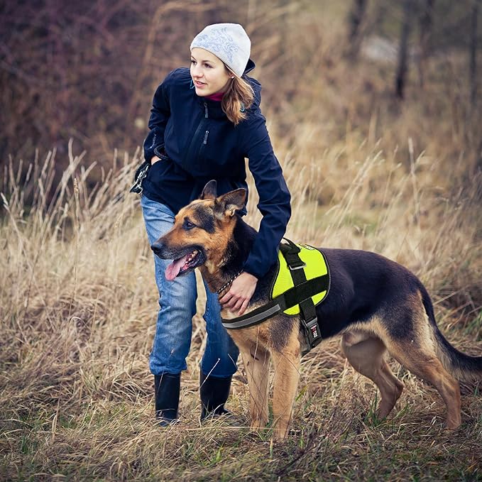 Dogline Dog Harness, Reflective No-Pull Adjustable Vest with Handle for Walking, Training, Breathable, No - Choke Harness for Small, Medium or Large Dogs Room for Patches Girth 27 to 34 in Lime Green-PurrikoPets