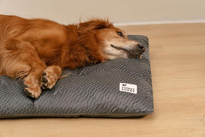 FUNNY FUZZY Washable Dog Bed,Reversible Plush Dog Crate Mat, Soft Fluffy Kennel Pad,Pet Sleeping Mattress for Jumbo,X-Large Sized Dogs Breeds,2XL,48"× 31",Grey-PurrikoPets