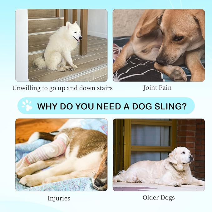 Dog Hip Support Brace – Rear Leg Lift Harness for Mobility & Post-Surgery Recovery, with Chest Straps and Adjustable Elastic Buckles, Customization-PurrikoPets