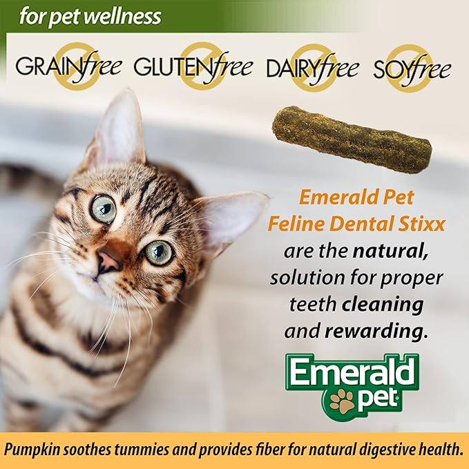 Emerald Pet Feline Dental Stixx — Tasty and Crunchy Cat Dental Sticks with Pumpkin for Digestive Health — Natural Grain Free Dental Treats for Clean Cat Teeth and Fresh Breath — Salmon Stixx, 3.6 oz-PurrikoPets