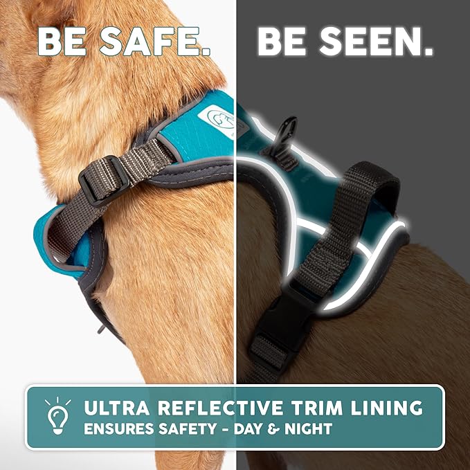 Embark Adventure Dog Harness, Easy On and Off with Front and Back Leash Attachment Points & Control Handle - No Pull Training, Size Adjustable and No Choke (Small - Teal Blue)-PurrikoPets