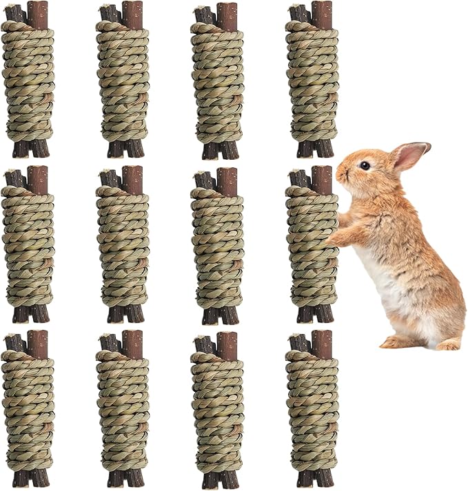 Fhiny 12 PCS Guinea Pigs Chew Toys, Natural Apple Branch Seagrass Molar Sticks for Teeth Bunny Chew Toys Cage Accessories for Guinea Pigs Rabbit Bunny Hamster Chinchilla-PurrikoPets