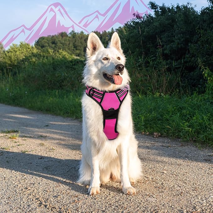 Eagloo Dog Harness Large Breed, No Pull Service Vest with Reflective Strips and Control Handle, Adjustable and Comfortable for Easy Walking, No Choke Pet Harness with 2 Metal Rings, Rose Red, XL-PurrikoPets