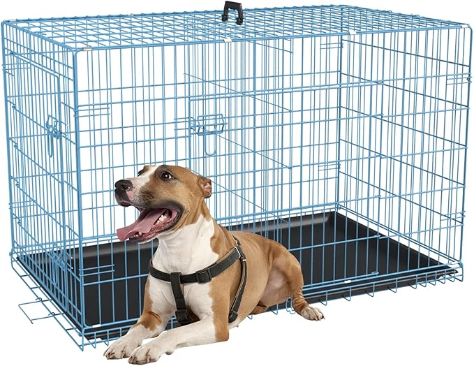 FDW Dog Crate for Medium Dogs 36 Inch Folding Metal WirePet Cage Double Door W/Divider Panel Indoor Outdoor Kennel Leak-Proof Plastic Tray,Blue-PurrikoPets