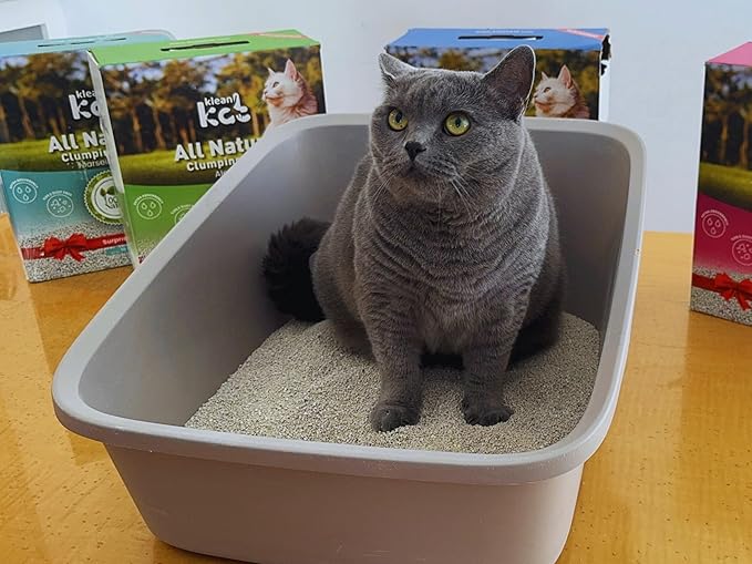 All Natural Clumping Cat Litter – Multiple Scents – Low Dust, Odor Control – (Aloe Vera) 18 lb - Surprise Toy Inside-PurrikoPets