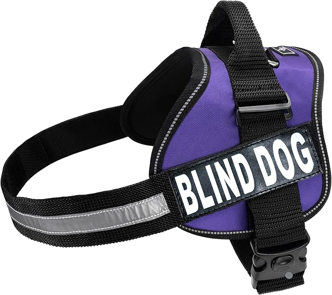 Doggie Stylz Blind Dog Harness No Pull No Escape Dog Vest for Blind Dogs Adjustable Vest with Handle Blind Dog Accessories and Patches for Training and Mobility-PurrikoPets