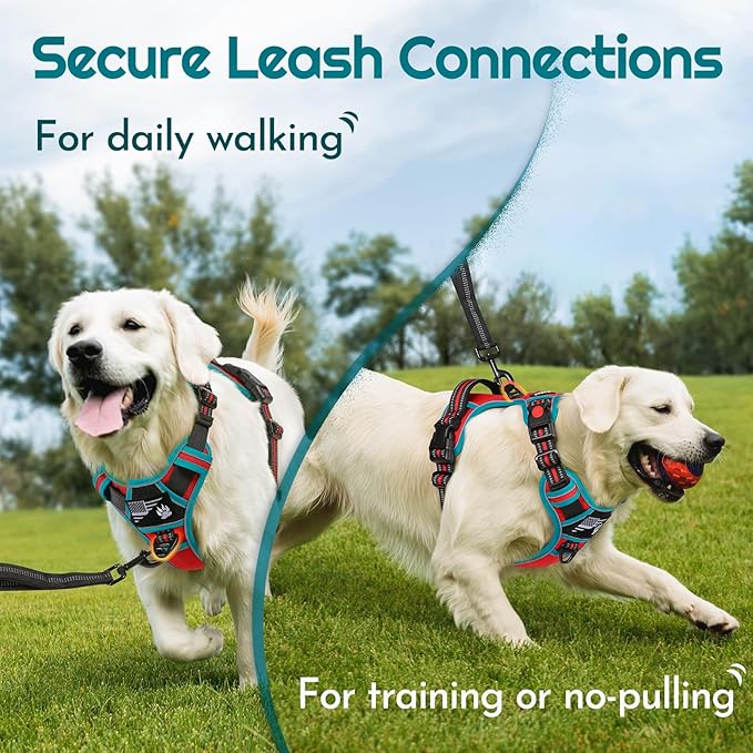 Eagloo Dog Harness for Large Dogs, Easy Wearing with 3 Buckles, Adjustable No Pull Pet Harness with 2 Rings for Walking, No Chock Reflective Soft Padded Vest with Control Handle, Red & Teal, L-PurrikoPets