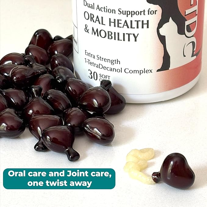 1TDC WorksSoWell Dual Action Joint Supplement for Dogs & Cats - Hip and Joint Supplement for Large Breed & Small Breed - Also Great for Oral Health - Muscle & Stamina Recovery & Arthritis - 30ct-PurrikoPets