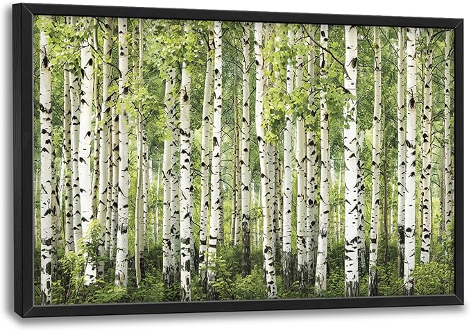Extra Large Birch Tree Framed Wall Art for Living Room,Oversized Green Aspen Trees Forest Pictures Wall Decor,Canvas Print Painting Modern Artwork Bedroom Office Bathroom 36L" x 24W"-PurrikoPets